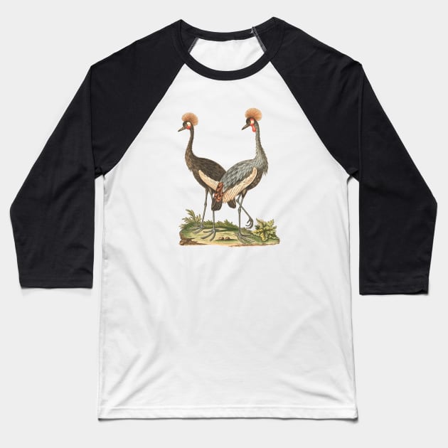 Wildlife Birds Illustration of Crowned African Crane Baseball T-Shirt by Biophilia